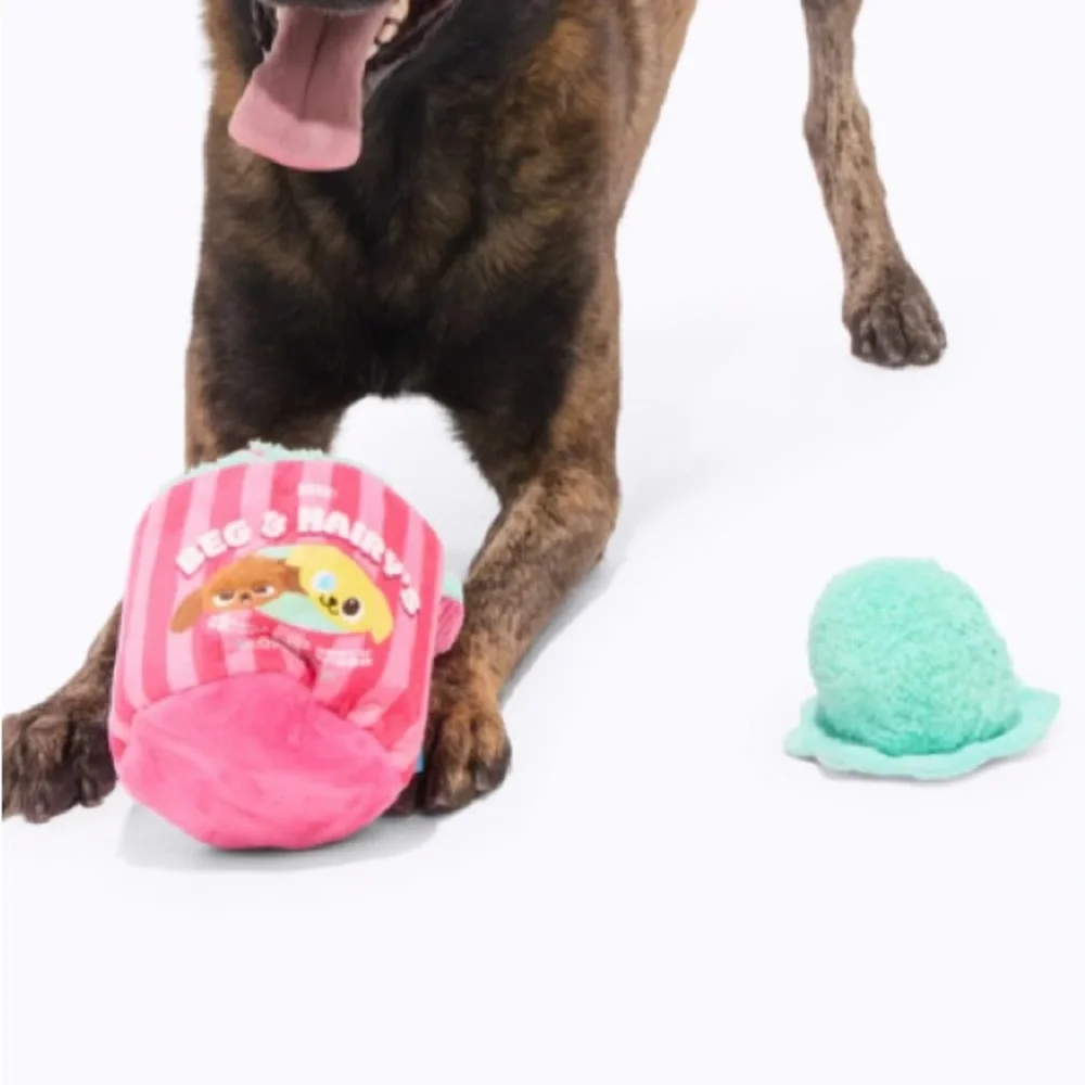 Bark ‘Beg & Hairy's Ice Cream’ Plush Dog Toy(s)